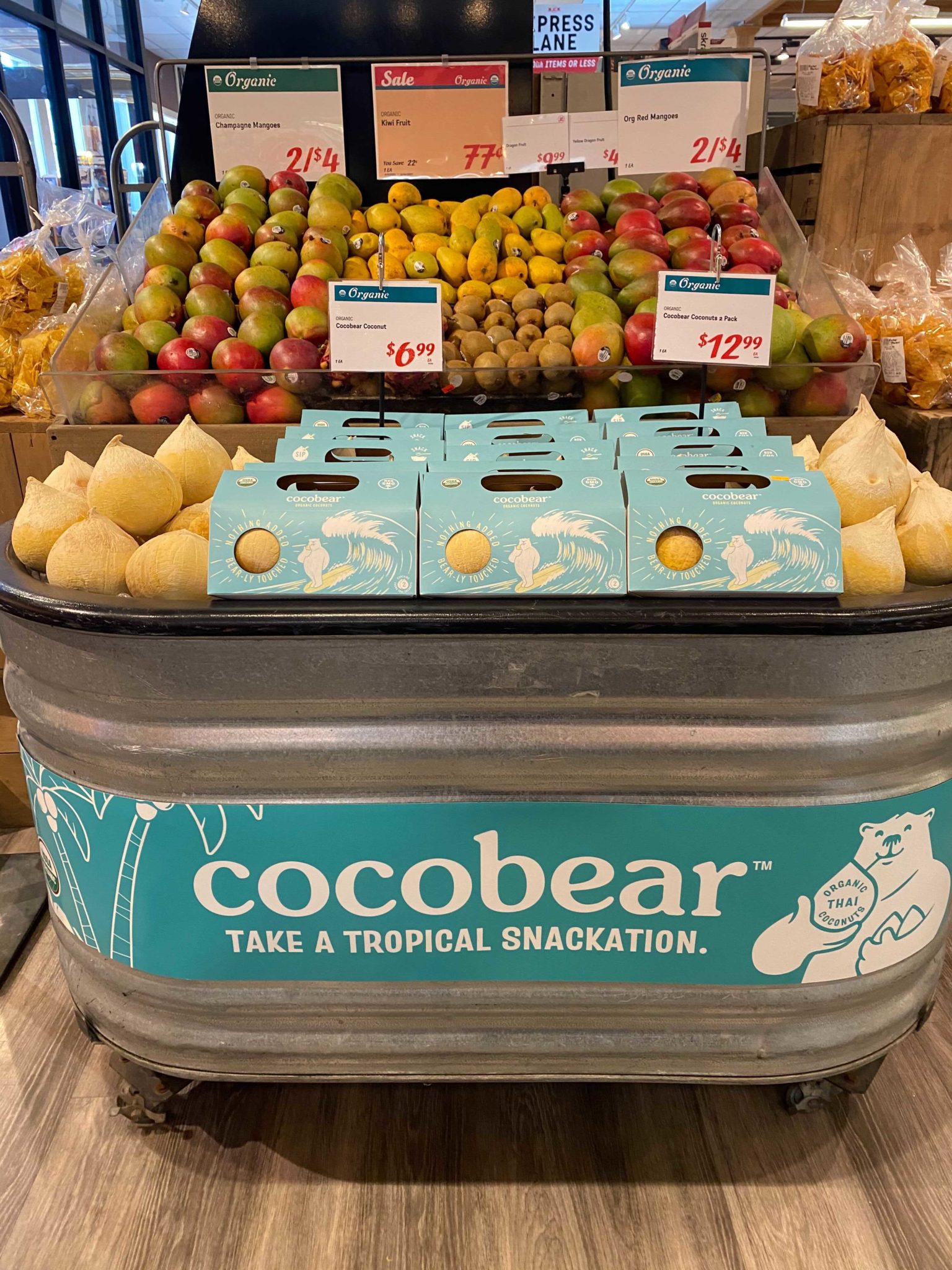 The Cocobear Explosion - Erin Bosik